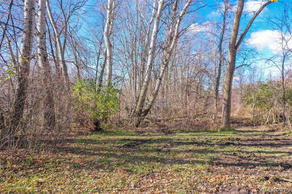 9478 Linden Road Swartz Creek, MI 48473 - Photo 13 of 29