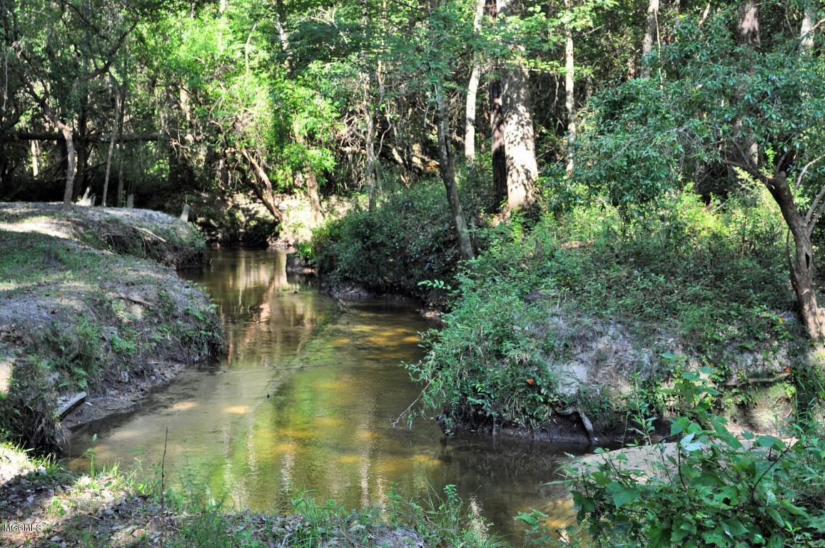 125 River Road Lucedale, MS 39452 - Photo 2 of 11 Creek 2