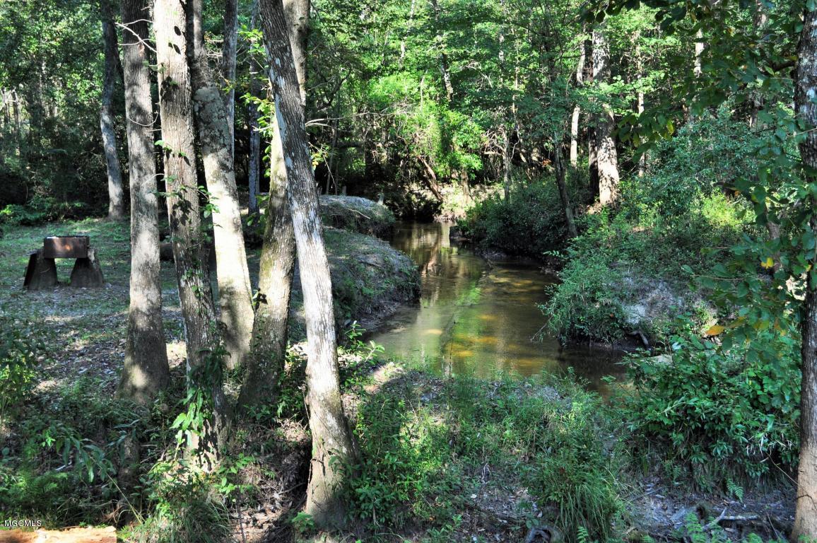 125 River Road Lucedale, MS 39452 - Photo 3 of 11 Creek