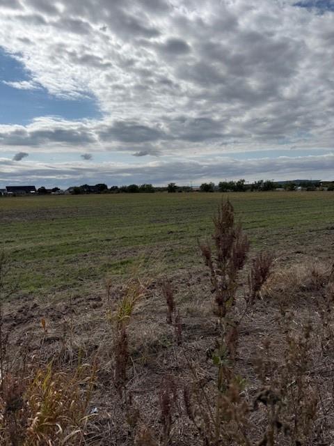 1750 Rd Abilene Tx 79602 Road Abilene, TX 79602 - Photo 2 of 4