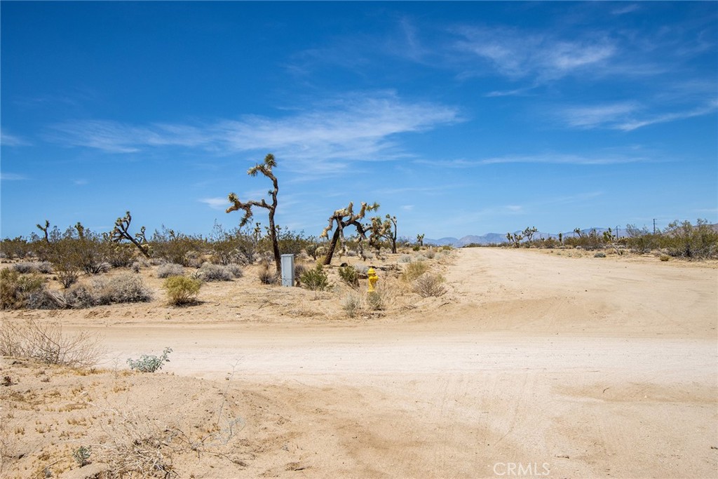 6563 Saddleback Road Joshua Tree, CA 92252 - Photo 4 of 17