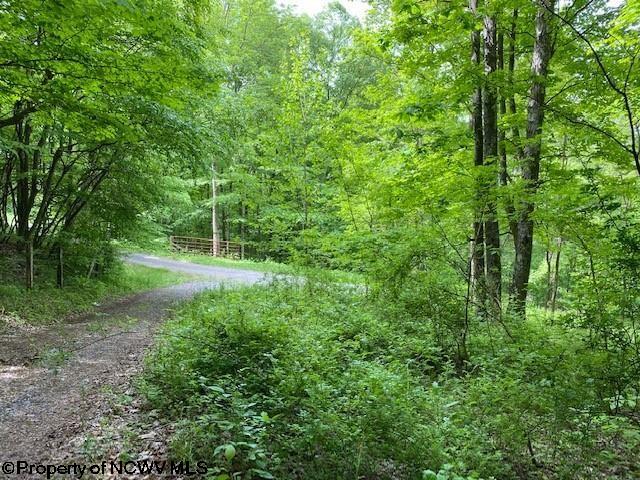 Lot 8 Panroamic Dryfork, WV 26263 - Photo 5 of 7 Gallery Image 5