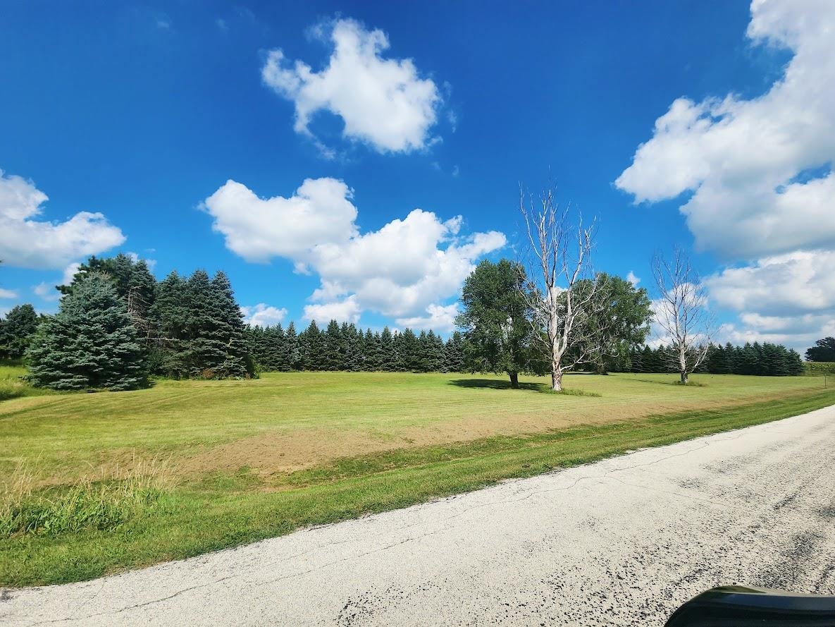 N6120 Center Road Brandon, WI 53919 - Photo 17 of 21 Gallery Image 17