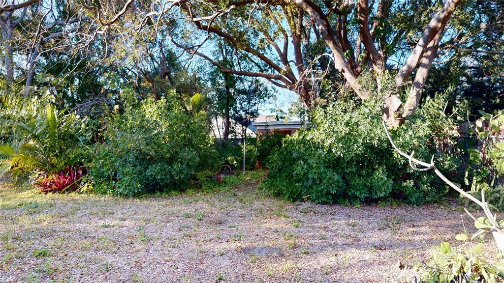 1546 Belleair Road Clearwater, FL 33756 - Photo 41 of 48