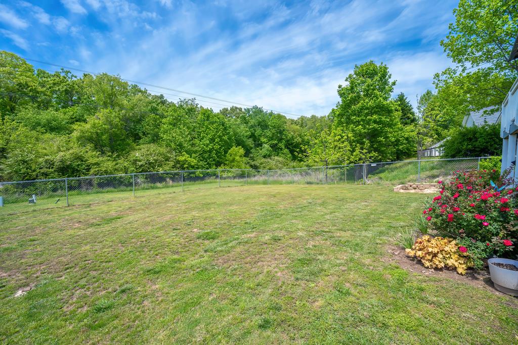 18 Shady Grove Lane Blue Ridge, GA 30513 - Photo 66 of 75