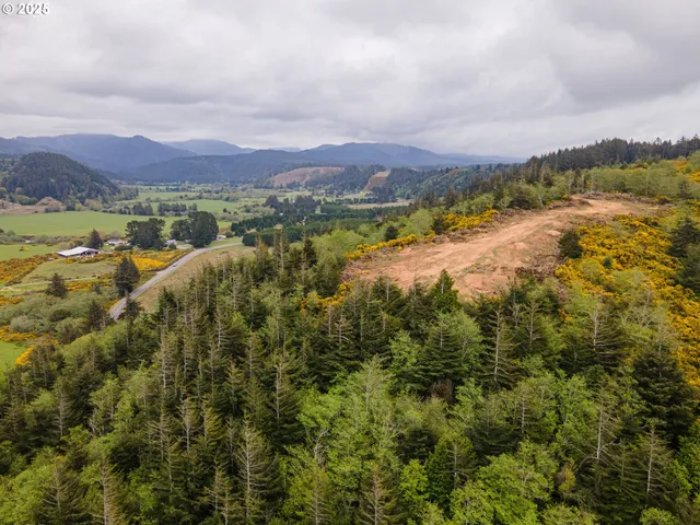 a view of a city with mountains in the background