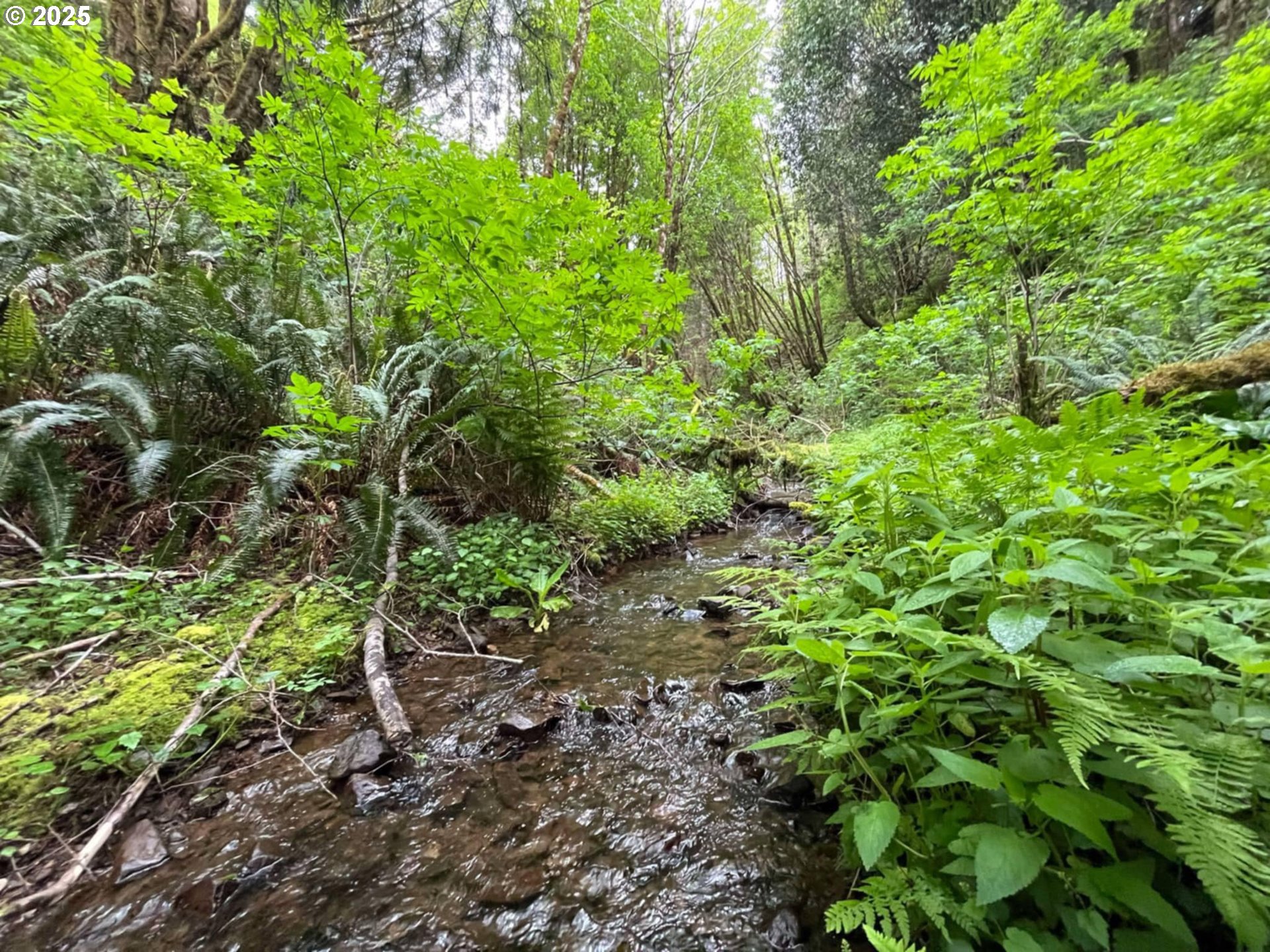Elk River Road Port Orford, OR 97465 - Photo 20 of 22 a plant view in yard