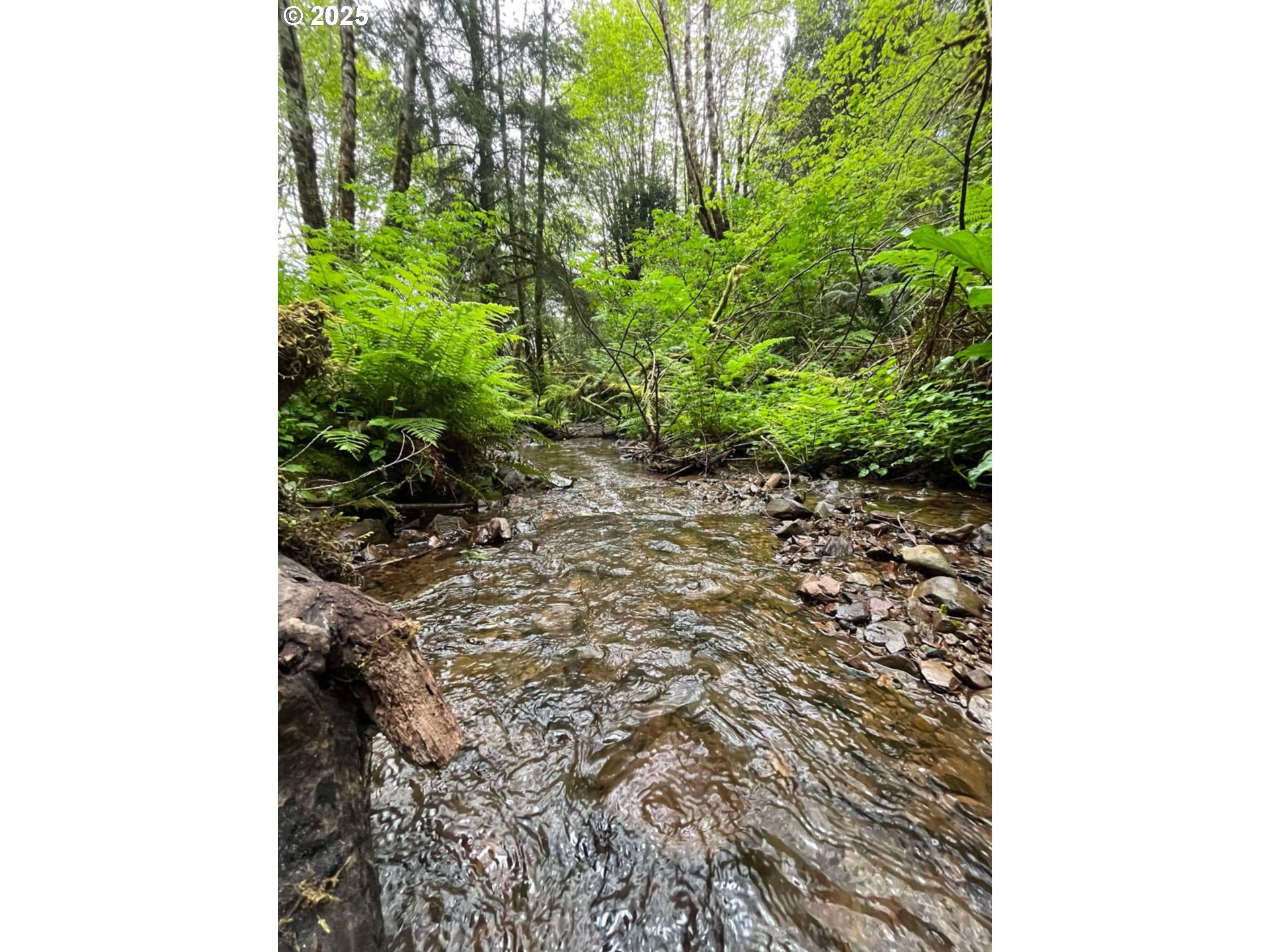 Elk River Road Port Orford, OR 97465 - Photo 22 of 22 a view of a yard with plants and a bench