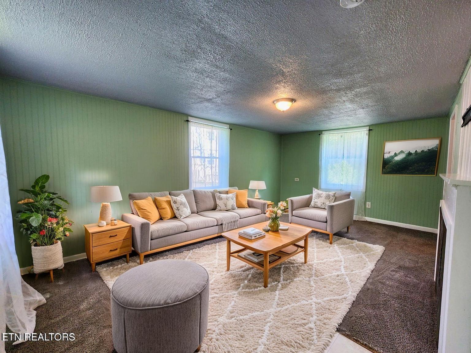 224 Oak Road Norris, TN 37828 - Photo 3 of 33 20250611170858068553000000-o - Living Ro