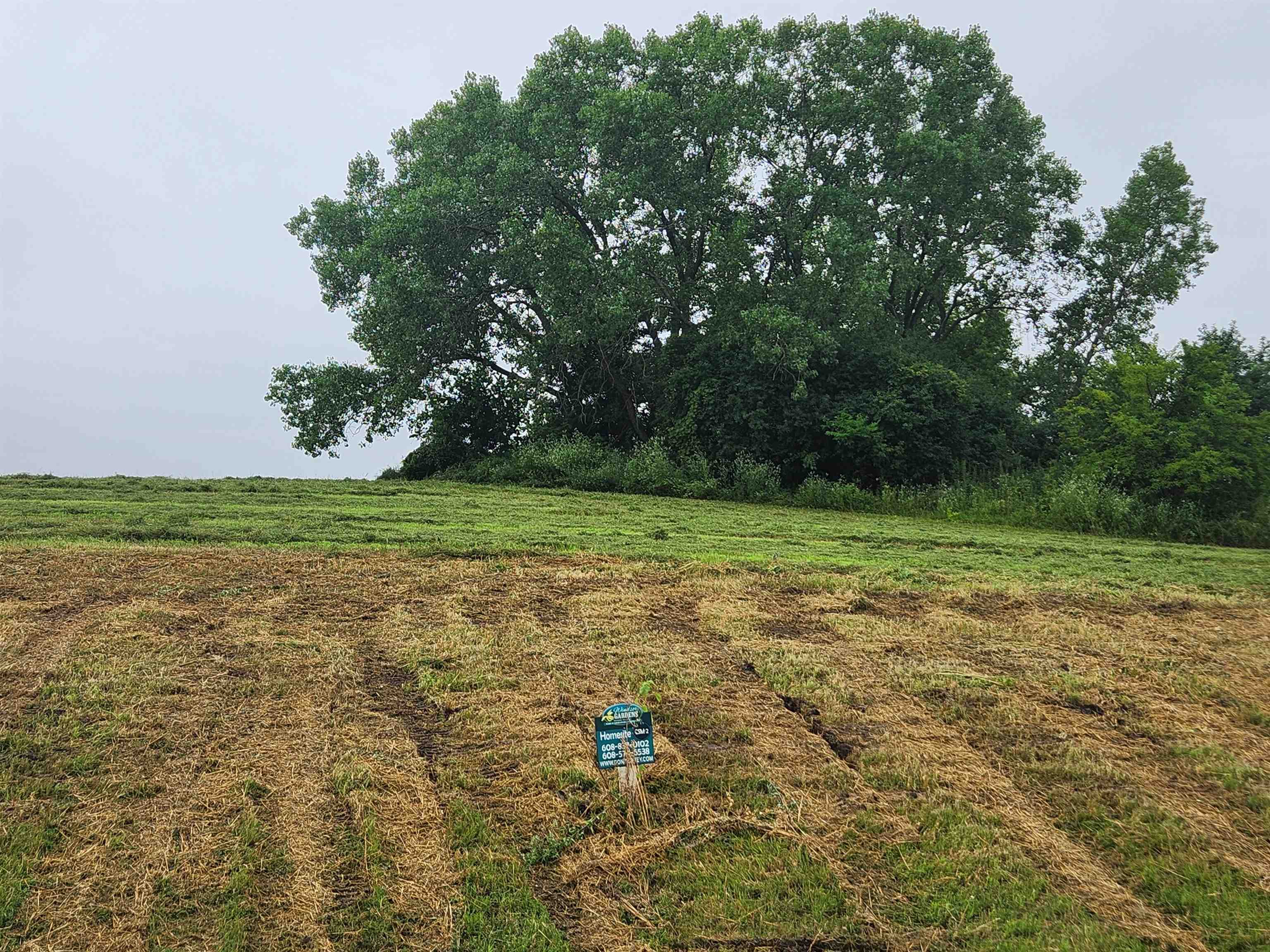 L2 Blue Victoria Sun Prairie, WI 53590 - Photo 1 of 21