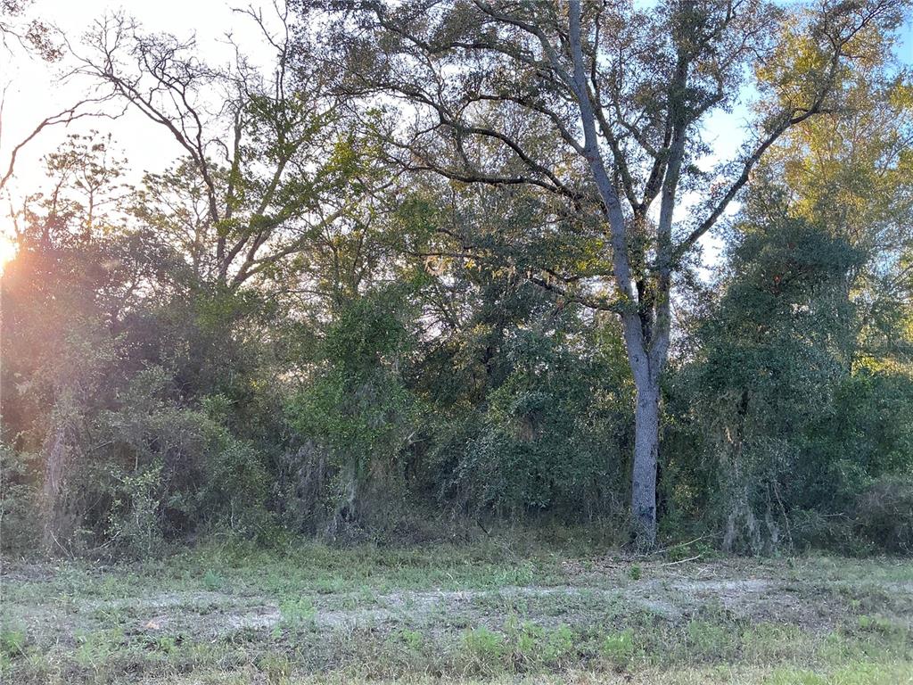 Southwest Willow Road Dunnellon, FL 34431 - Photo 1 of 1 Gallery Image 1