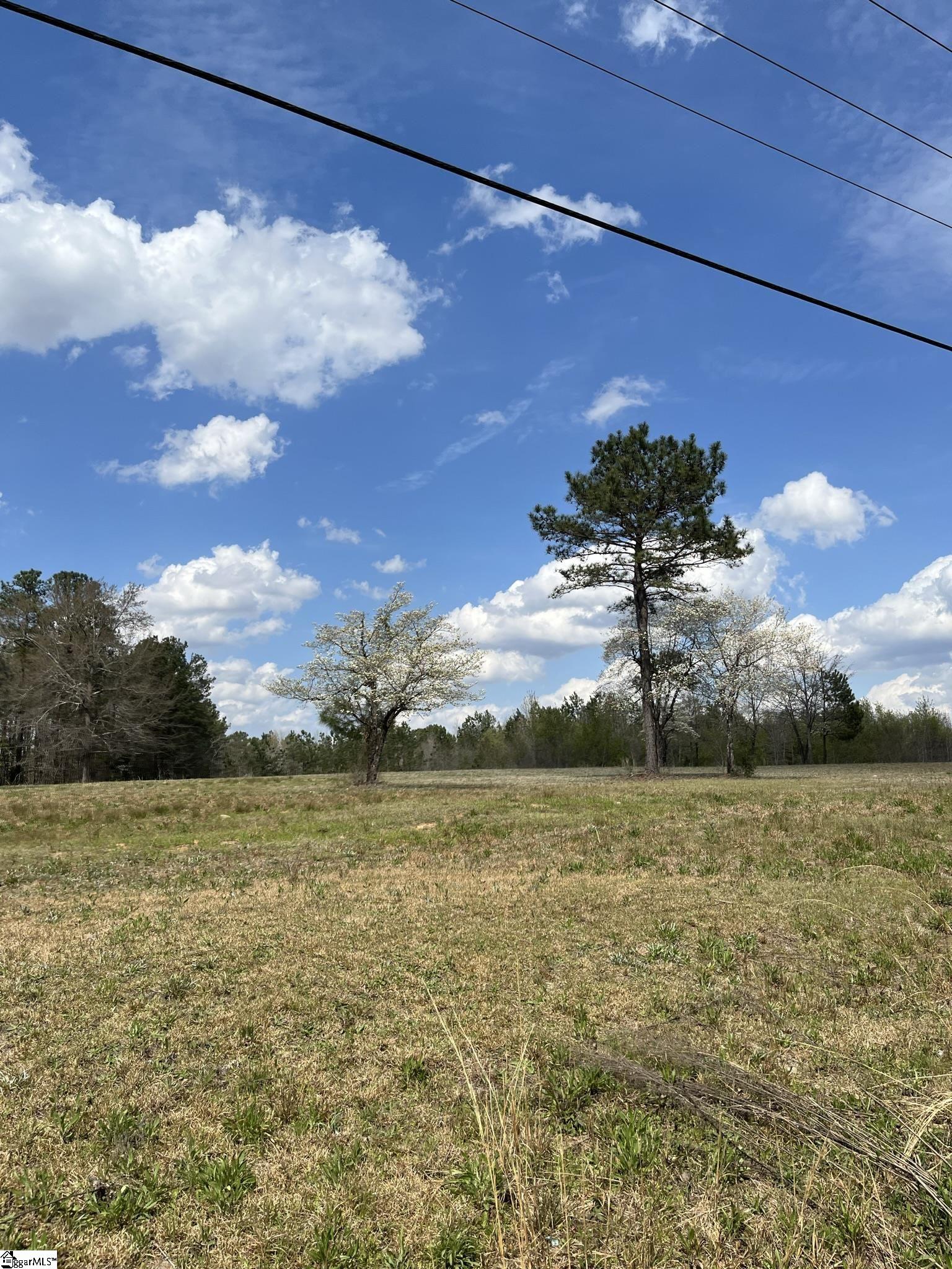 1519 HardScrabble Road Columbia, SC 29203 - Photo 9 of 14