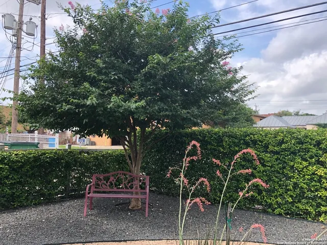 a view of a chairs and table in the backyard