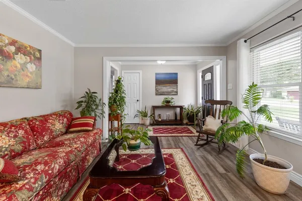 a living room with furniture and a potted plant