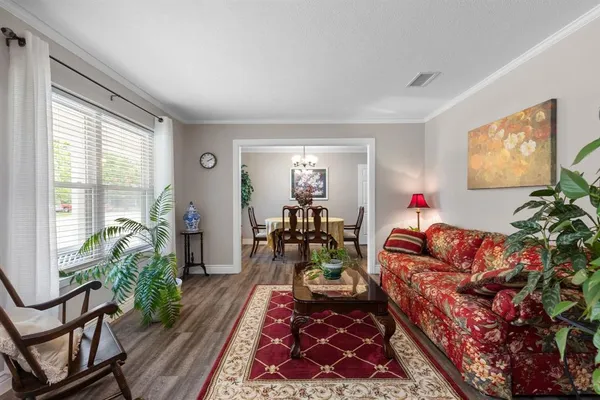 a living room with furniture and a potted plant