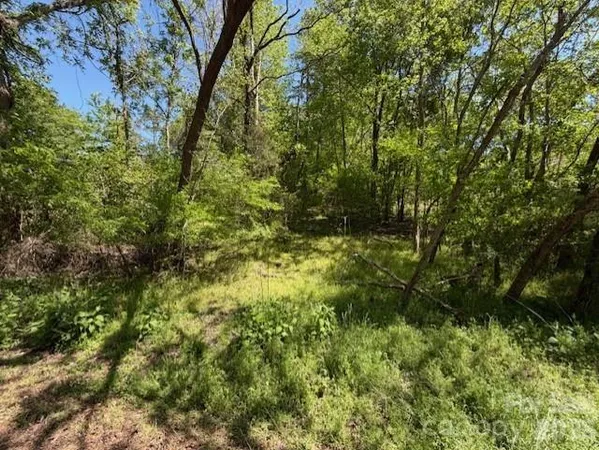 a view of forest