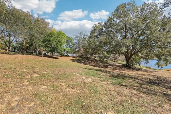 a view of a yard with a tree