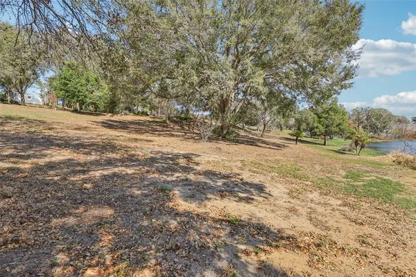 a view of a yard with large trees