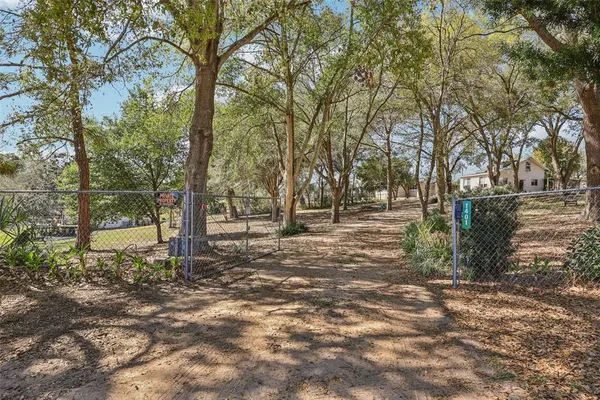 a view of a yard with large trees