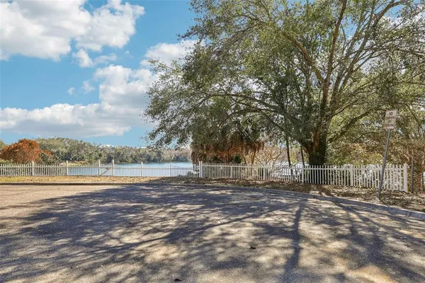 a view of dirt yard with a tree