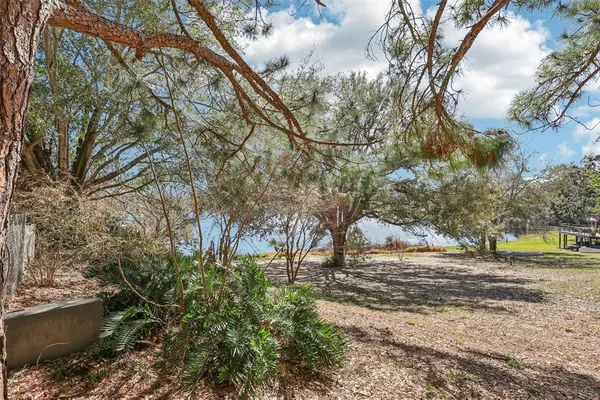 a view of a yard with a tree