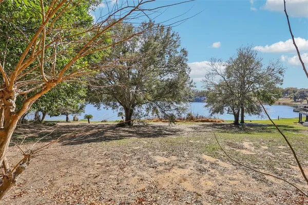 a view of dirt yard with a tree