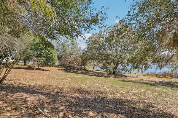 a view of a yard with a tree