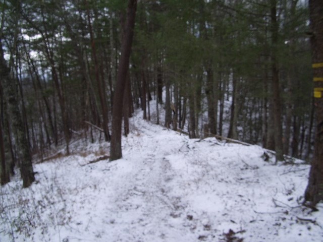 0 Messer Branch Road Hartford, TN 37753 - Photo 17 of 27