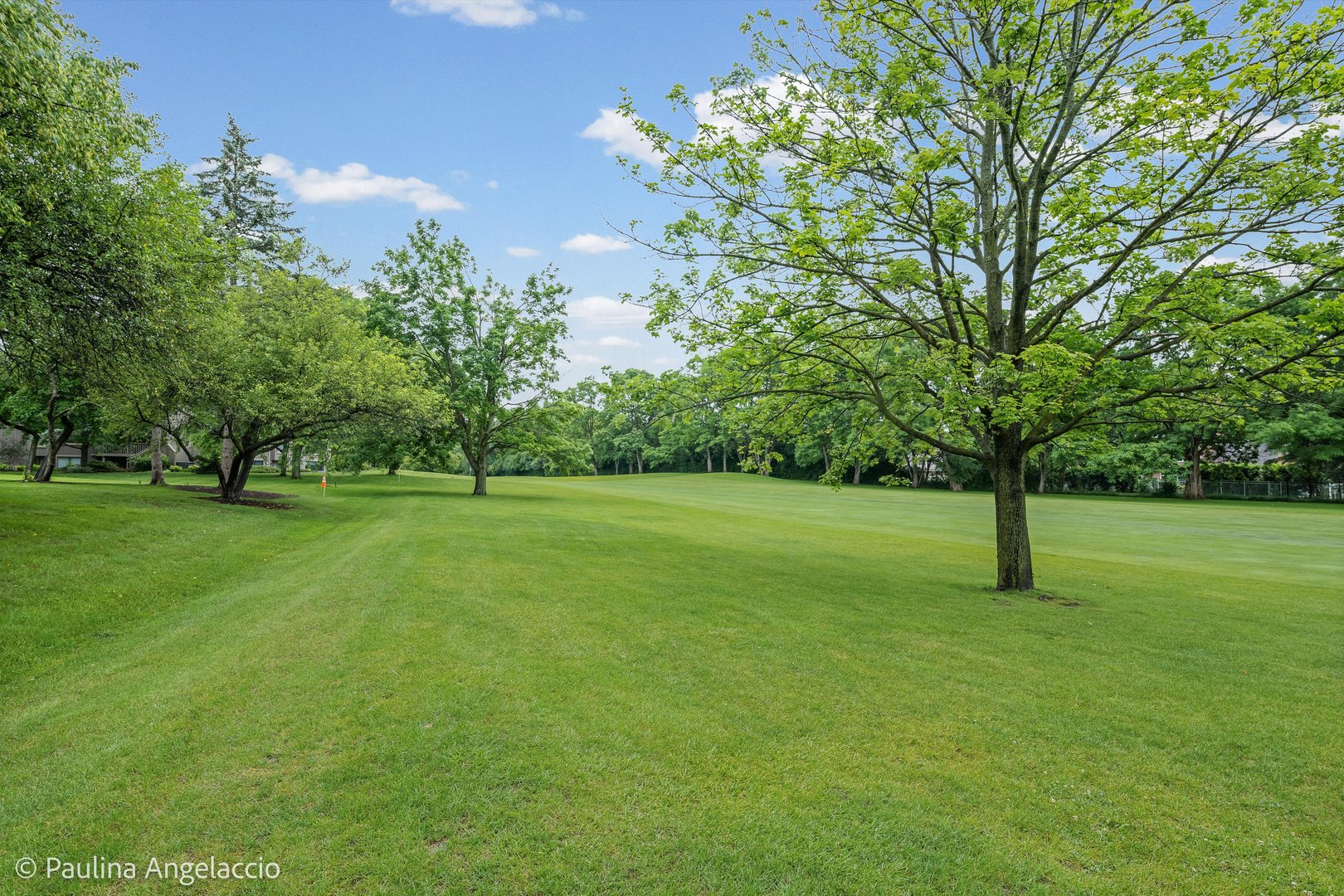 1280 Oak Hill Road Lake Barrington, IL 60010 - Photo 15 of 21