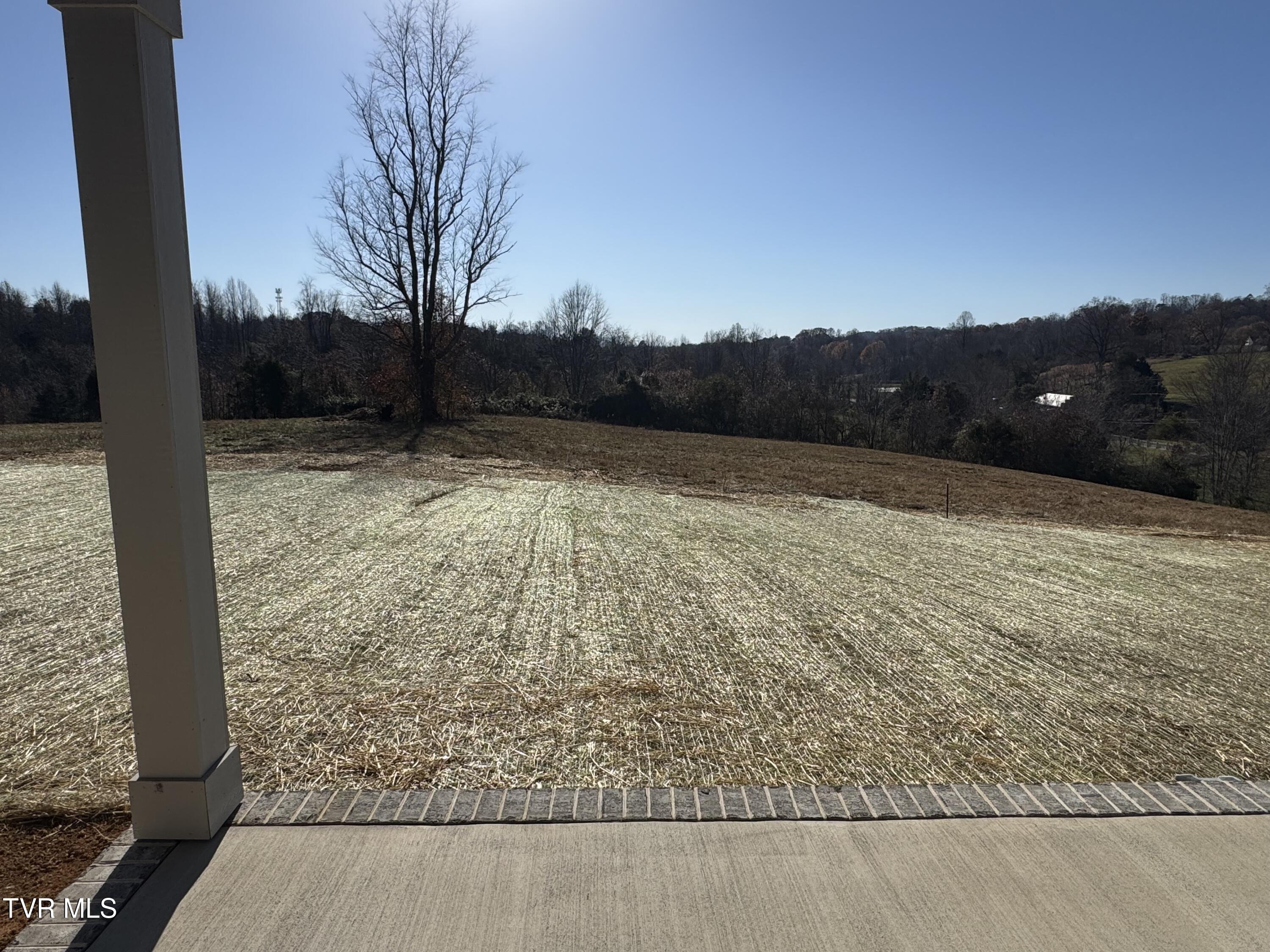 240 Ruby Rose Ridge Jonesborough, TN 37659 - Photo 17 of 18 back yard