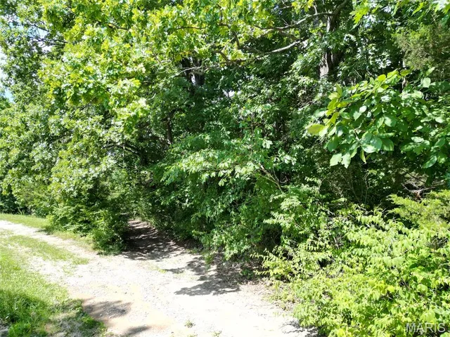 $64,000 | 12348 Frederick Court, Festus, MO 63028