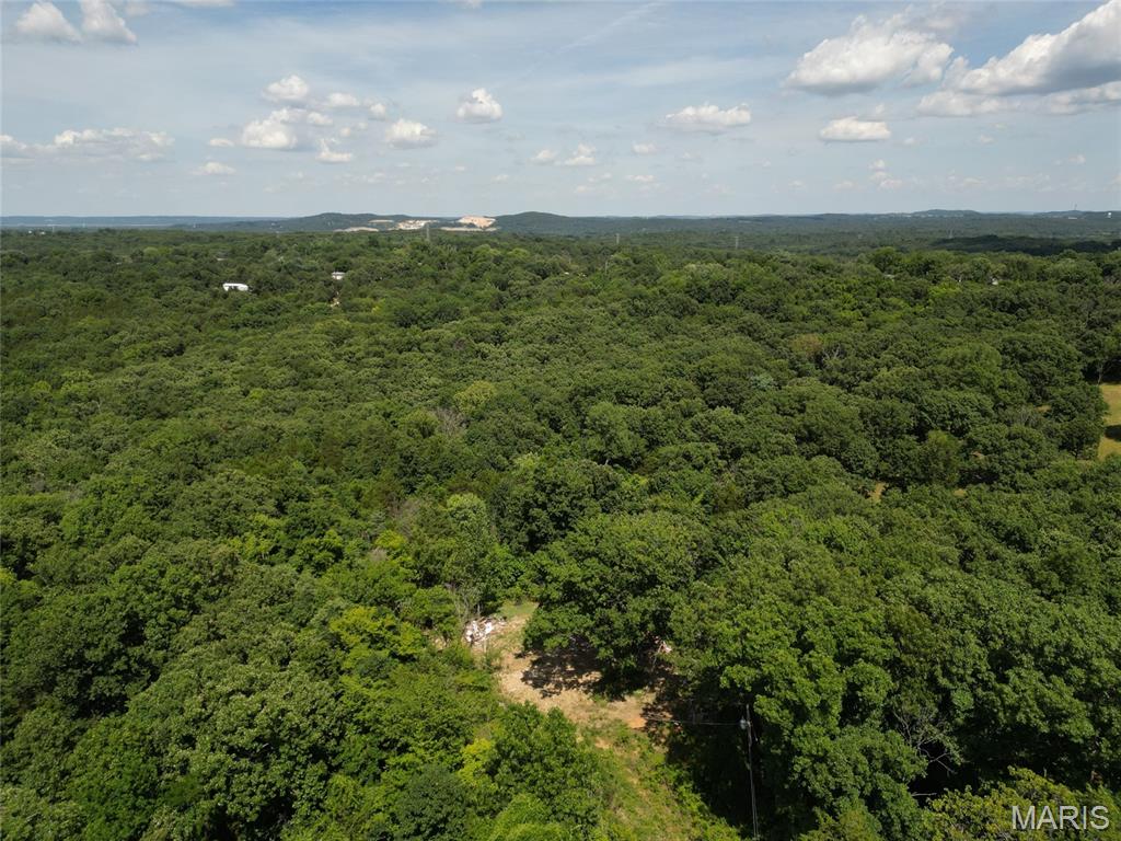 12348 Frederick Court Festus, MO 63028 - Photo 12 of 13