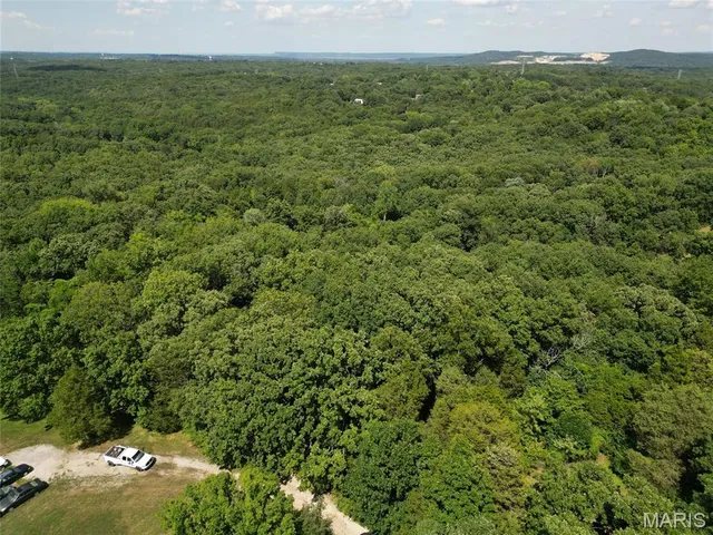 $64,000 | 12348 Frederick Court, Festus, MO 63028