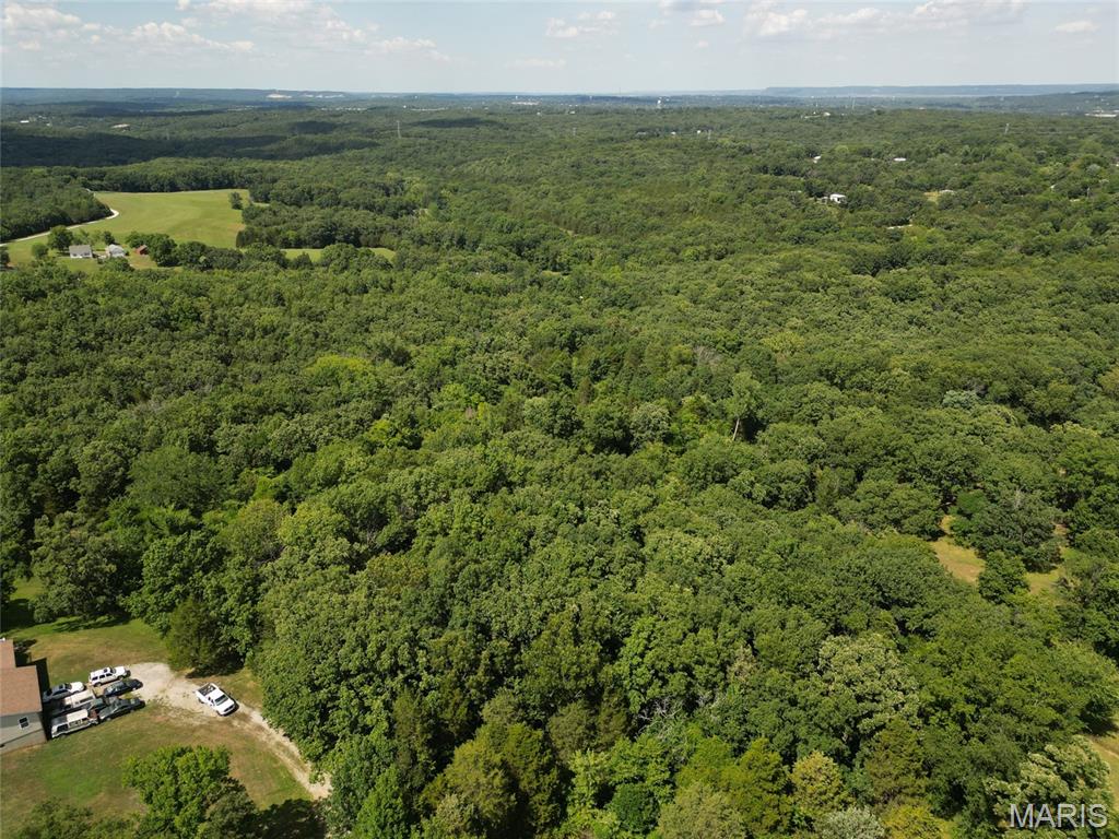 12348 Frederick Court Festus, MO 63028 - Photo 3 of 13