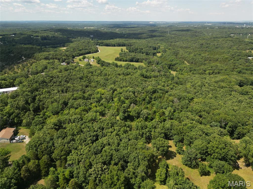 12348 Frederick Court Festus, MO 63028 - Photo 4 of 13