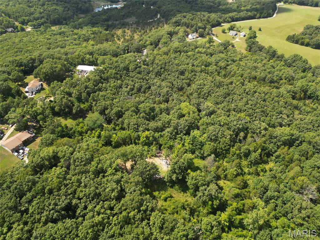 12348 Frederick Court Festus, MO 63028 - Photo 5 of 13