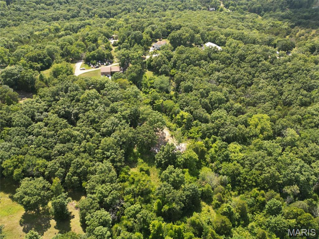 12348 Frederick Court Festus, MO 63028 - Photo 6 of 13