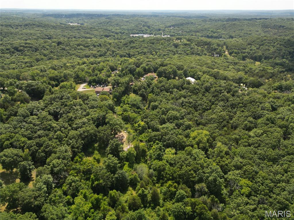 12348 Frederick Court Festus, MO 63028 - Photo 7 of 13