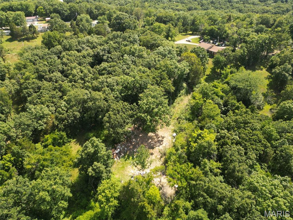 12348 Frederick Court Festus, MO 63028 - Photo 8 of 13