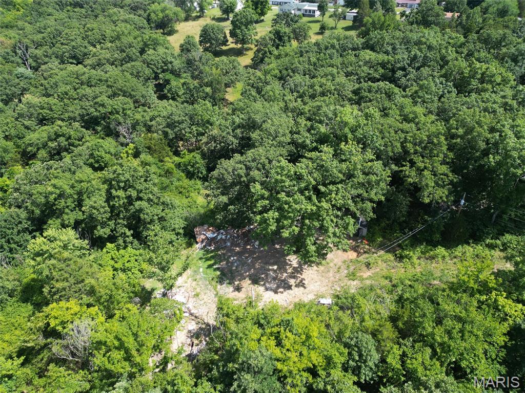 12348 Frederick Court Festus, MO 63028 - Photo 9 of 13