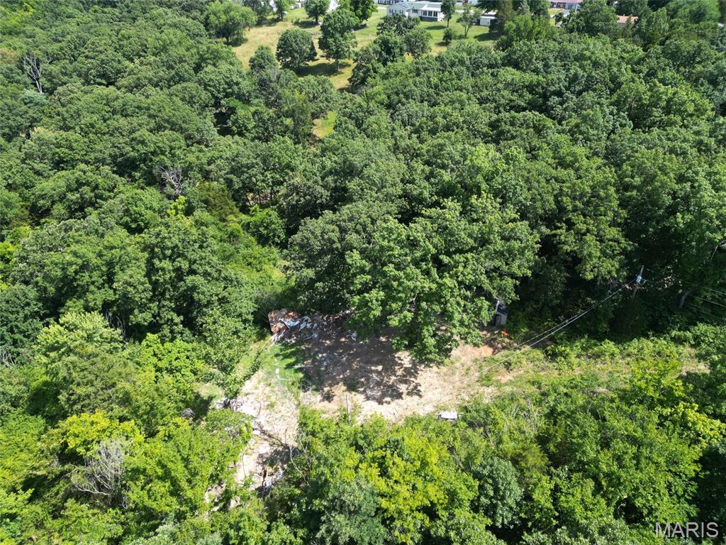 12348 Frederick Court Festus, MO 63028 - Photo 10 of 13