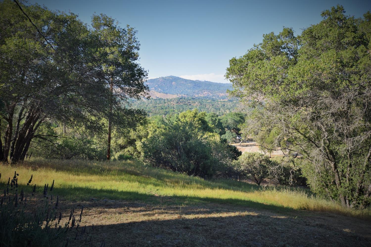 45340 Windmill Road Coarsegold, CA 93614 - Photo 12 of 32 Gallery Image 12