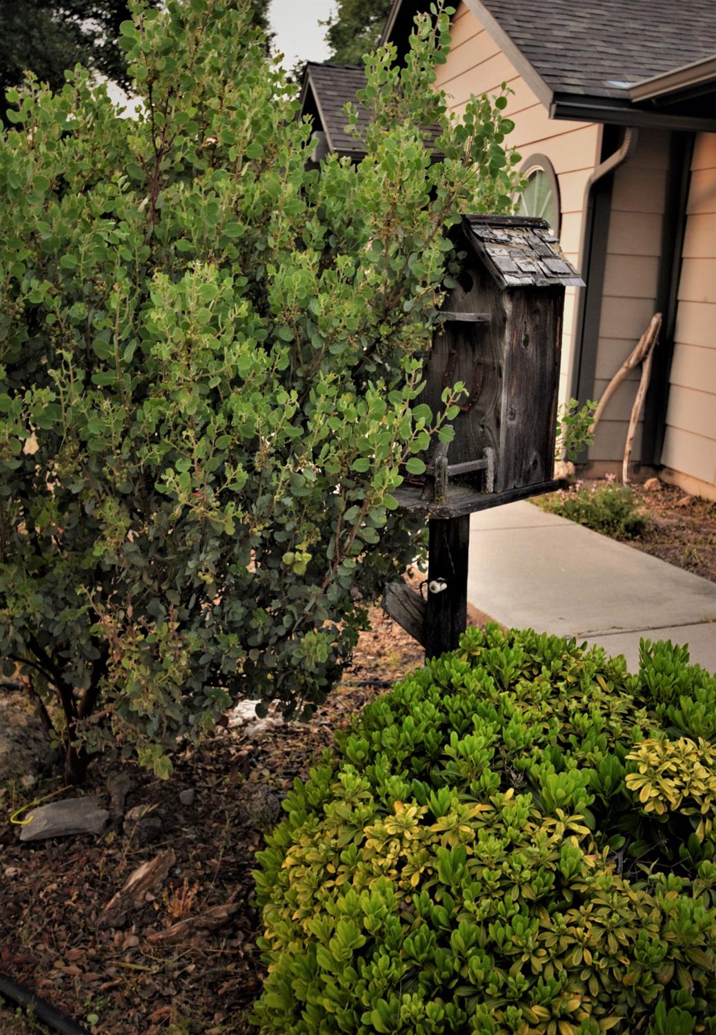 45340 Windmill Road Coarsegold, CA 93614 - Photo 16 of 32 Gallery Image 16