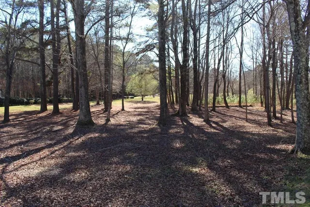 a view of water with large tree