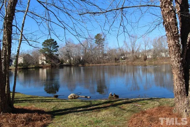 a view of a fire pit with large trees