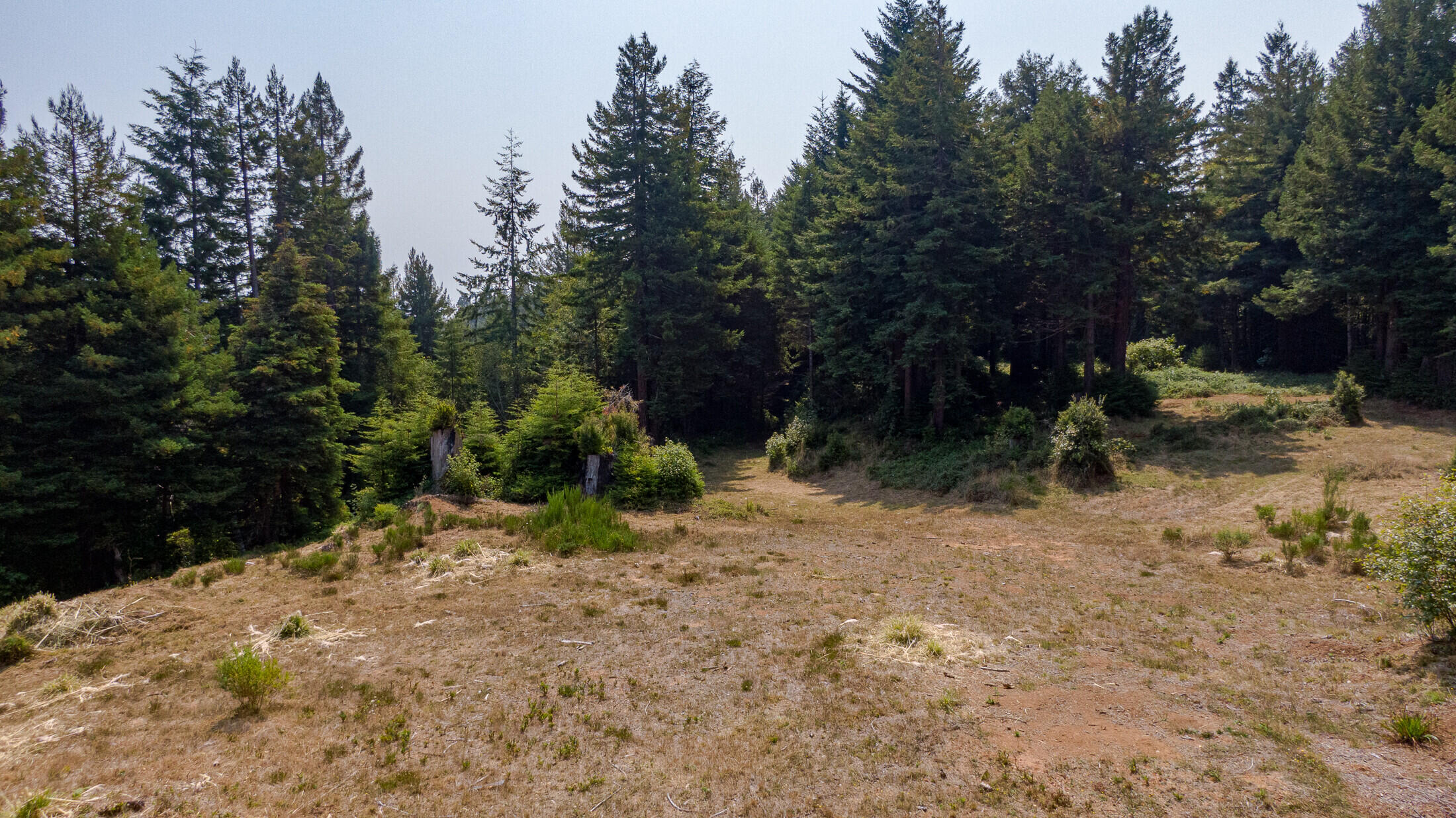 1180 Fox Farm Road Trinidad, CA 95570 - Photo 11 of 36