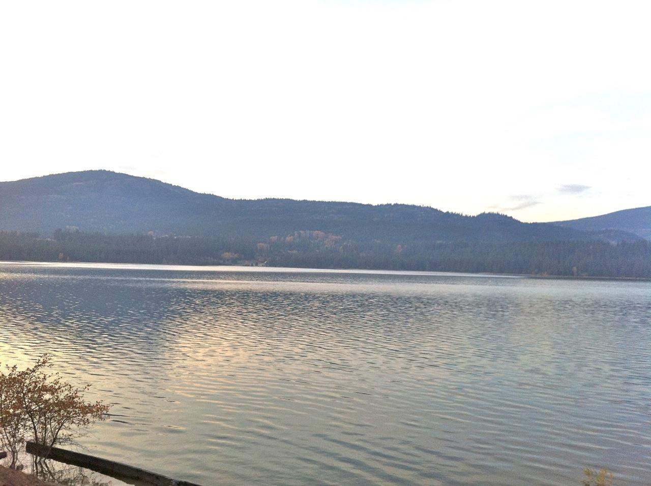 1604 A Rickey Point Road Kettle Falls, WA 99141 - Photo 2 of 16