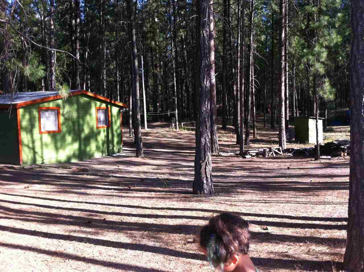 1604 A Rickey Point Road Kettle Falls, WA 99141 - Photo 4 of 16