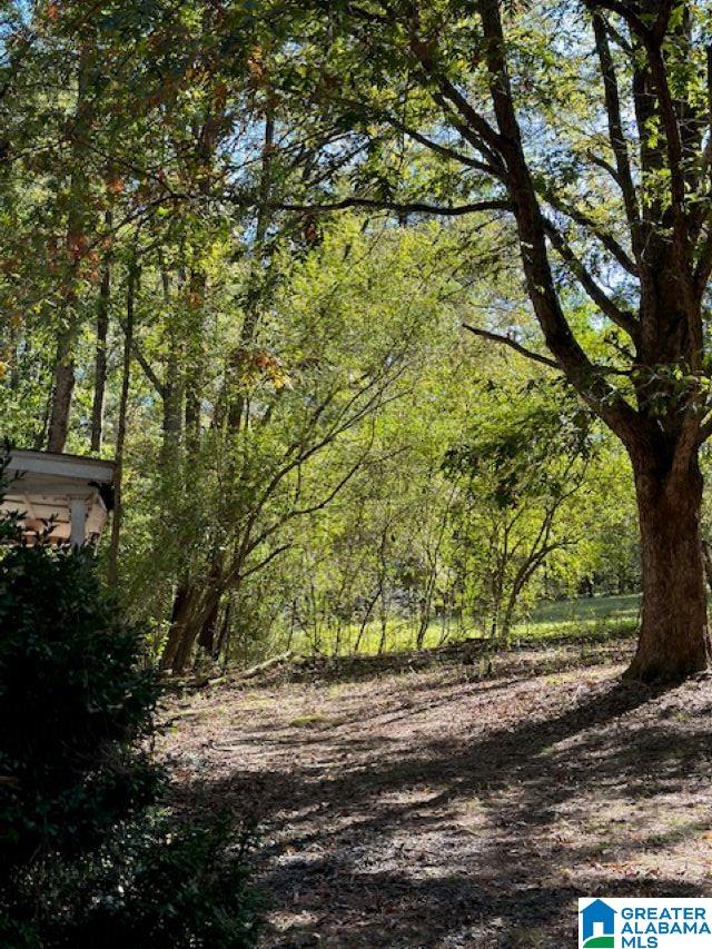 121 Ball Park Road Oneonta, AL 35121 - Photo 24 of 31 Gallery Image 24