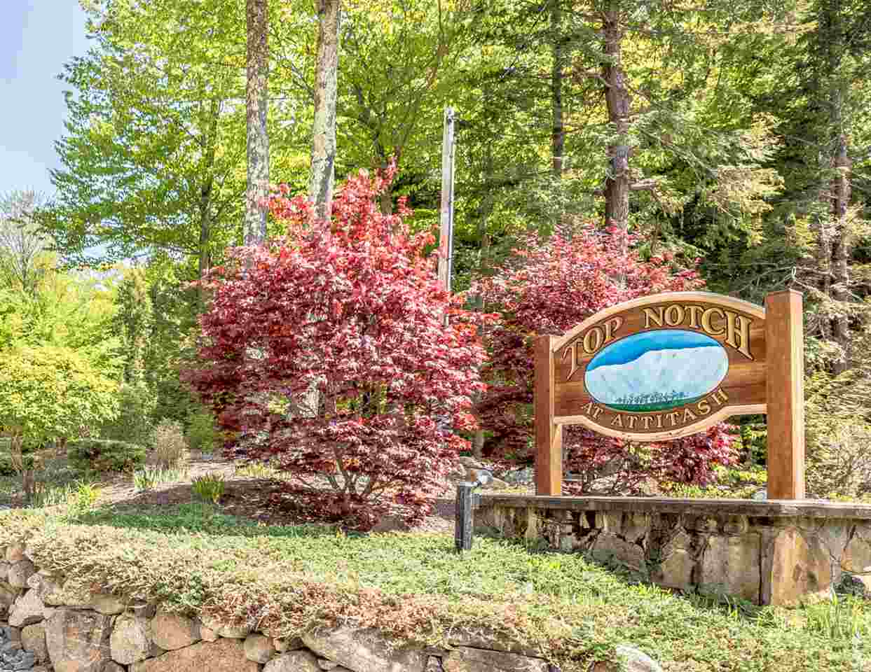 2 Top Notch Road, Unit 2 Bartlett, NH 03812 - Photo 31 of 32 Gallery Image 31